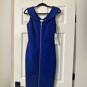 Calvin Klein Elegant &Sexy Royal Blue Zip-Front Dress NWT